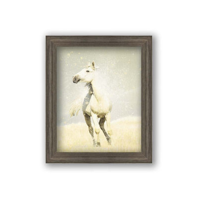 Wild Wild Horse par Hal Halli. Impression sur papier - Montée et encadrée avec de l'acrylique transparent