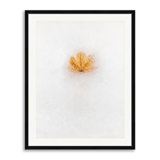 Frozen In Time Print by Scott Norris