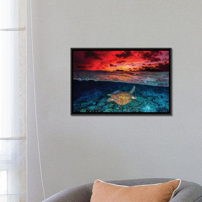 Coucher de soleil nageant par Jordan Robins - reproduction de photo
