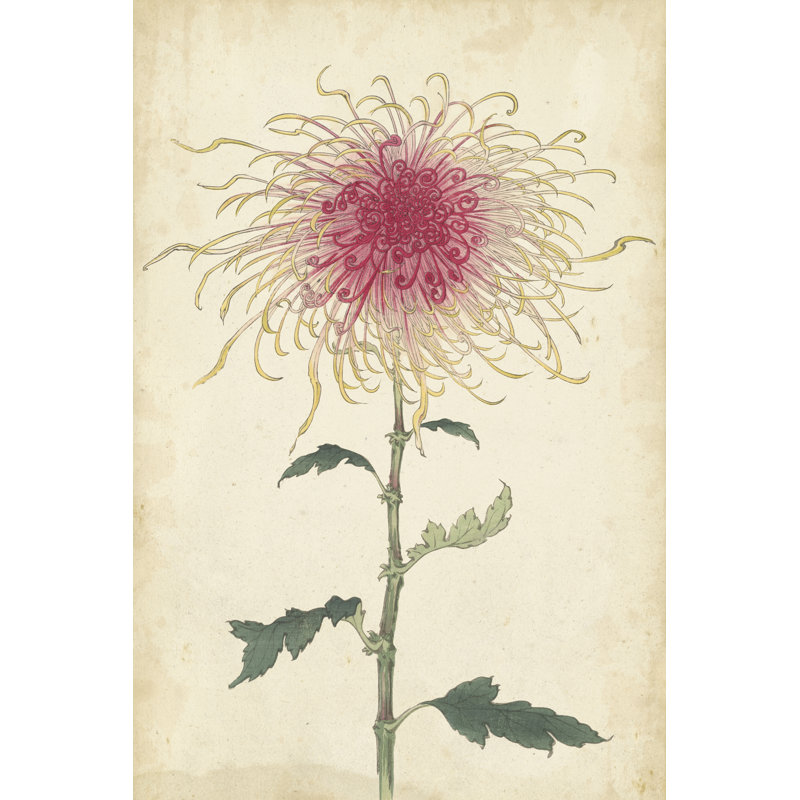 Elegant Chrysanthemums I - Wrapped Canvas Painting, 122cm H x 81cm W x 3.8cm D