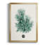 Antique encadré corail V de qualité supérieure - prêt à accrocher - 2846804-88269251-88269252