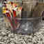 Customer photo 4 of 4