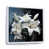 Cadre flottant blanc