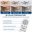 Ceiling Fan-1629712560
