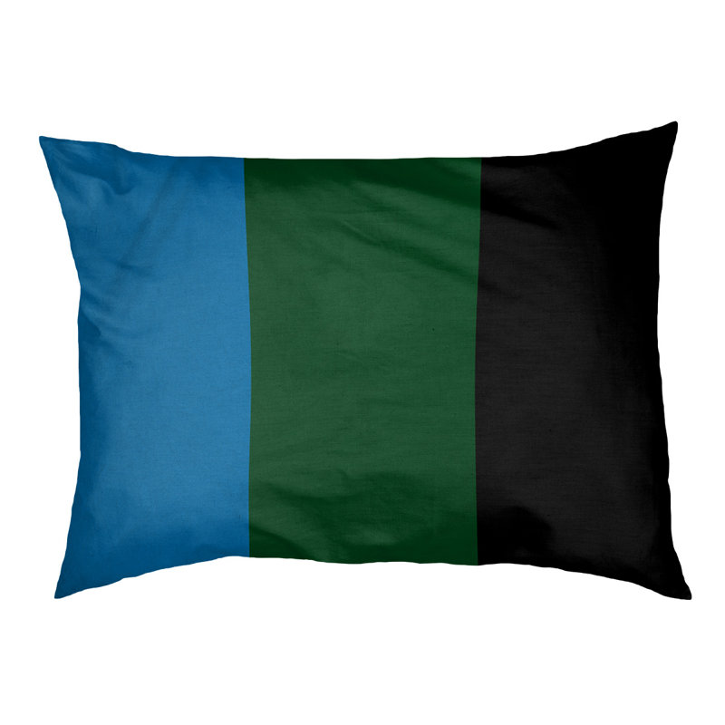 Coussin Milwaukee, Moyen (l 28 po x P 18 po x H 9,5 po), Bleu des Grands Lacs / vert de Good Land / noir