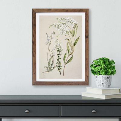 Veronica Flowers - Framed Print