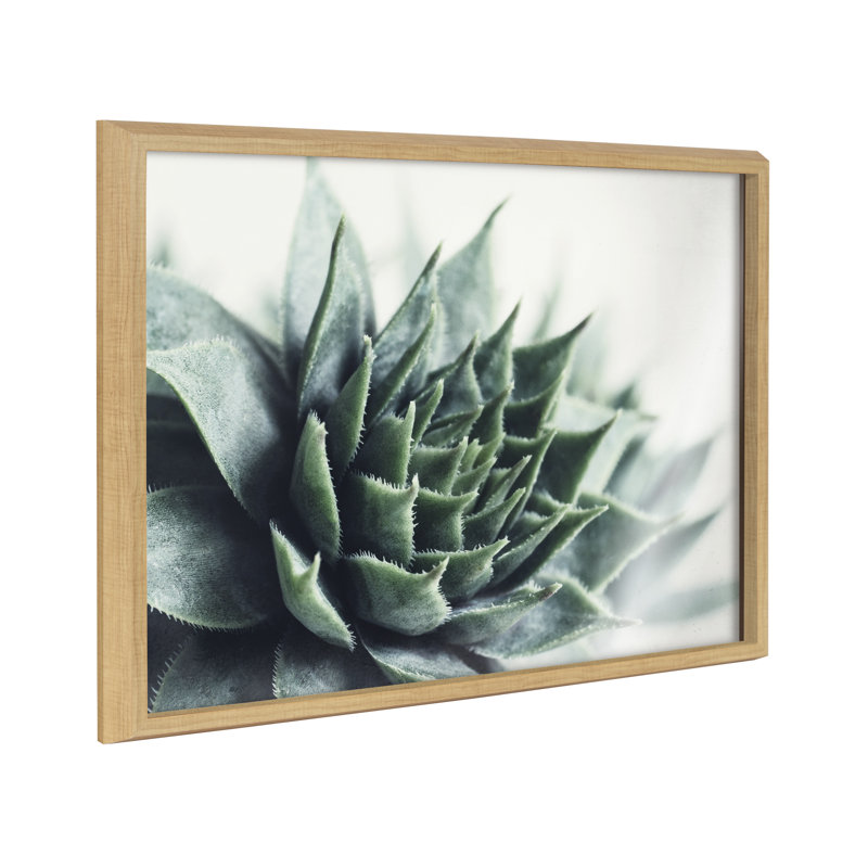 «Radical Succulent» par Emiko et Mark Franzen