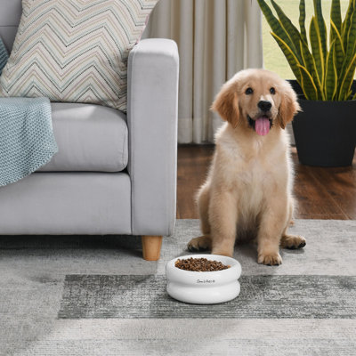 Sam's Pets Tall Tulip Pet Bowl In Glossy