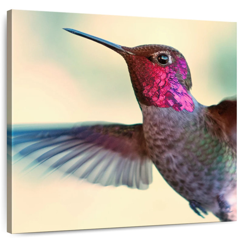 Brampt Flying Anna's Hummingbird, 10" H x 10" W