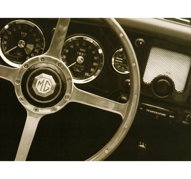 Steering Wheel, 18" H x 24" W