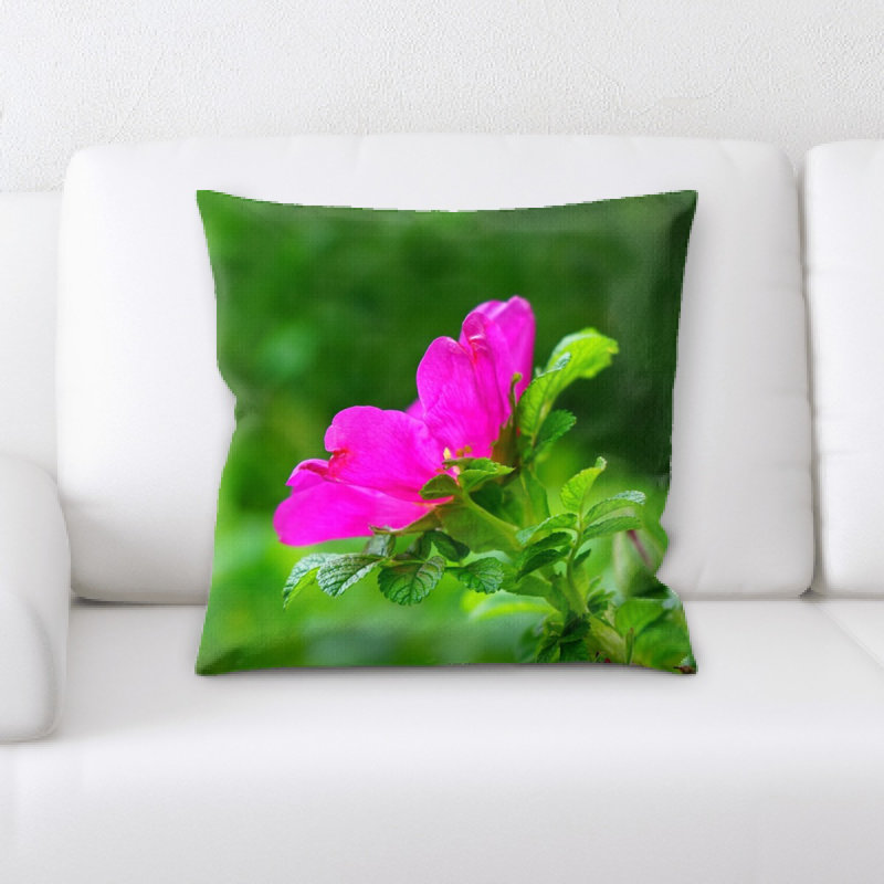 Coussin de rose pour chien