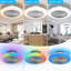 Ceiling Fan with LED Lights