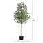 12 pi Eucalyptus artificiel
