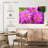 Harnek Pink Flower Garden-108691080
