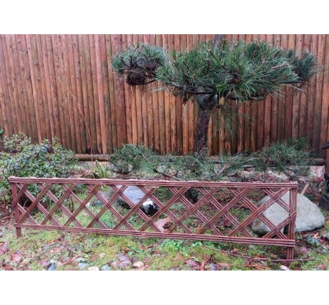 16'' H x 48'' W Brown Wood Border Fencing (Set of 2) MGP
