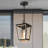 Vendramin Outdoor Hanging Lantern