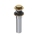 Push Drain with Overflow
