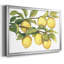 Ripe For Picks II, reproduction d'art sur toile-95887336-95887335