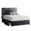 Ohiowa Upholstered Divan Bed-852021837-852021838-885538768