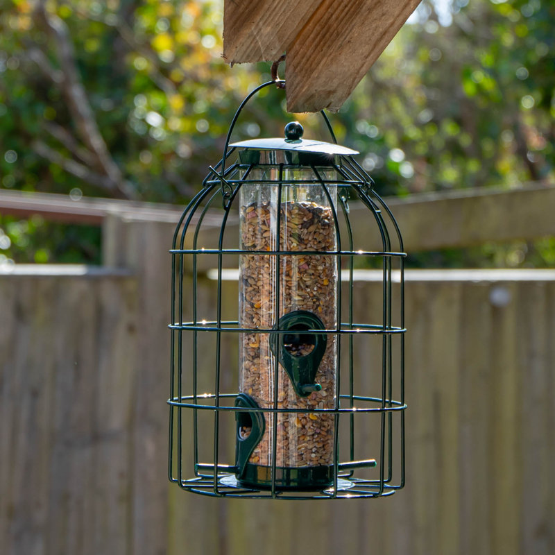 Caziyah Metal Hanging