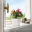 Planter Box-26992047-26992046