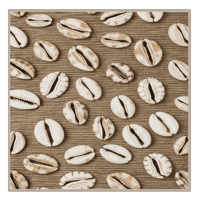Washable Cowrie Shell Collection Coastal Area Rug