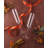 JoyJolt Claire Champagne Glass Flutes, 5.7oz