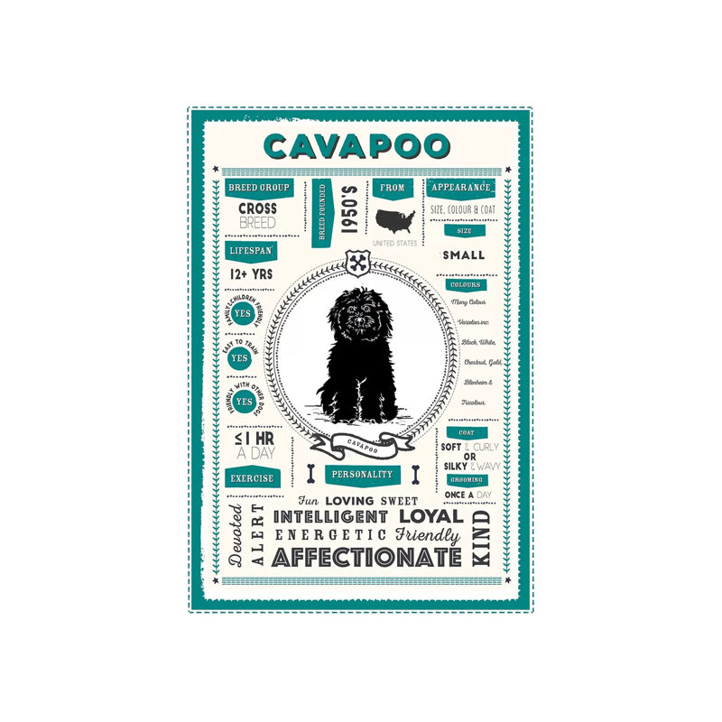«Cavapoo Infographie Blue» par PaperPaintPixels, impression sur toile tendue, H 26 po x l 18 po x 1,5 po