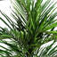 Artificial Palm Tree in Pot-88980147