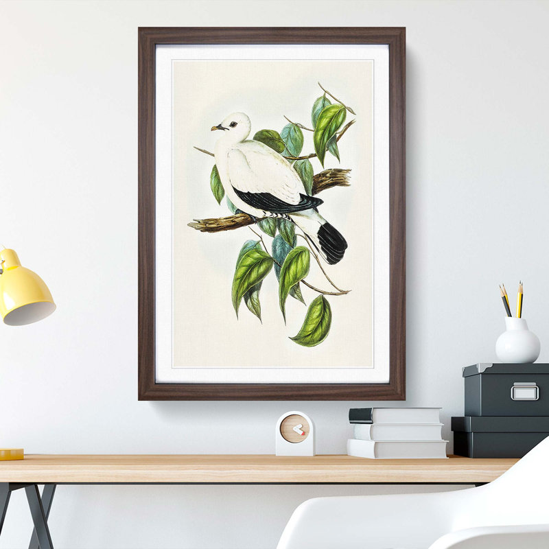 Torres Strait Fruit Pigeon by Elizabeth Gould - Picture Frame Painting Print, 48cm H x 36cm W x 2cm D, Walnut Framed