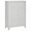 Armoire de rangement en acier avec tablettes réglables