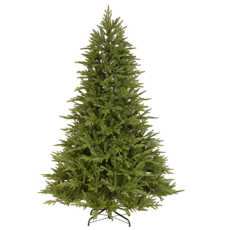Bedminster Spruce 6ft Medium Tree