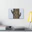 Wall Art on Canvas
