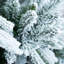 Arbre de Noël artificiel pin 6 pi-1795464417