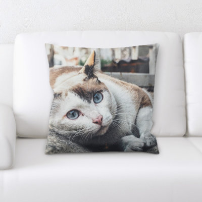 Housse et insert de coussin carré pour chat