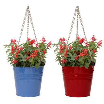 Arnkell Metal Hanging Planter