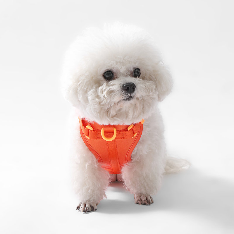 Harnais pour animal de compagnie Arlo, Orange foncé, Small