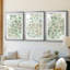 Têtes de fleurs vertes I - reproduction sur mesure encadrée de qualité supérieure - 3 pièces-778436484-778436481