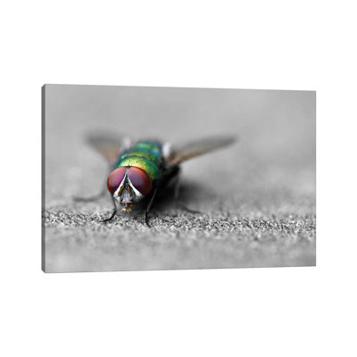 Hello by Ben Heine - Wrapped Canvas Print