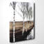 Birch Tree Landscape Photographic - Wrapped Canvas-19095177