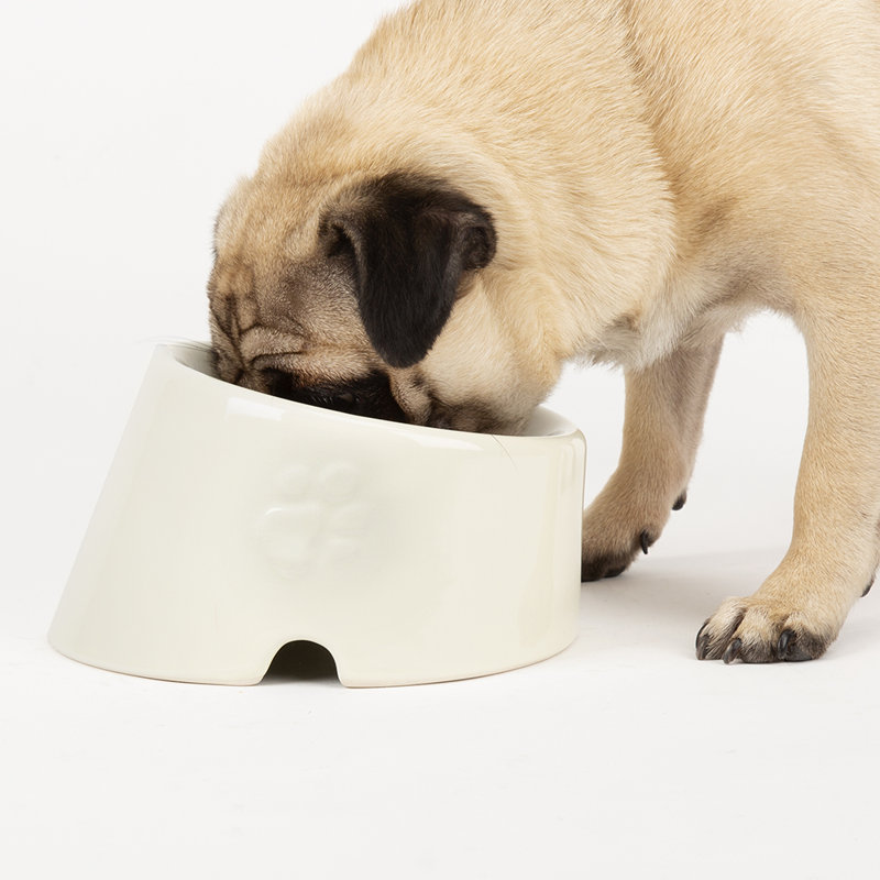 Pet Bowl