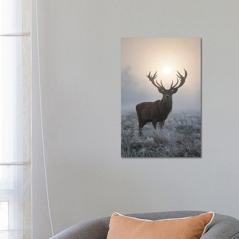 Frosty Glow by Max Ellis - Wrapped Canvas Print, 66.04 cm H x 45.72 cm W