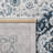 Delmer Performance Oriental Rug-1064360180