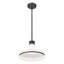 Luminaire suspendu 1 lumière noir mat Marquette 12 pouces-123223095