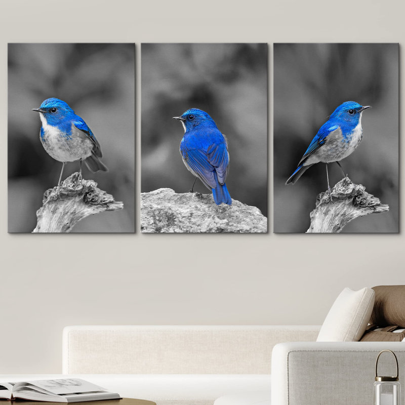 Décoration murale moderne couleur oiseau bleu sur fond noir et blanc, Toile tendue, H 24 po x l 48 po