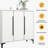 White Aluminum Shoe Storage