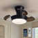 10" Modern Dimmable Ceiling Fan Light With Remote Control And LED Light