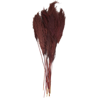 Pampas Grass Arrangement