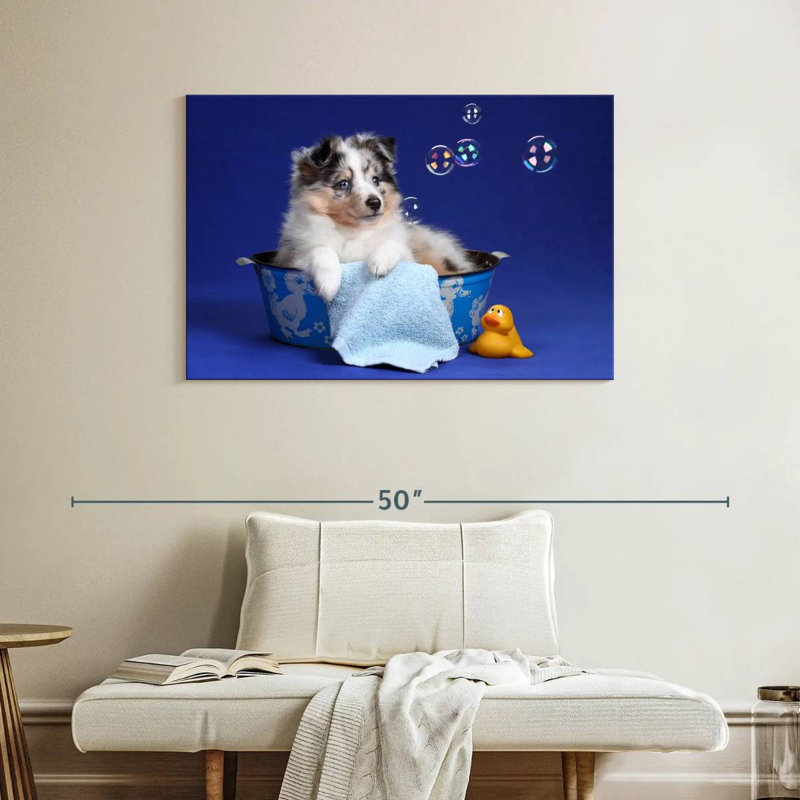 L'heure du bain chiot Brampt, H 26 po x l 39 po