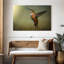 Colibri roux Brampt femelle-108815933